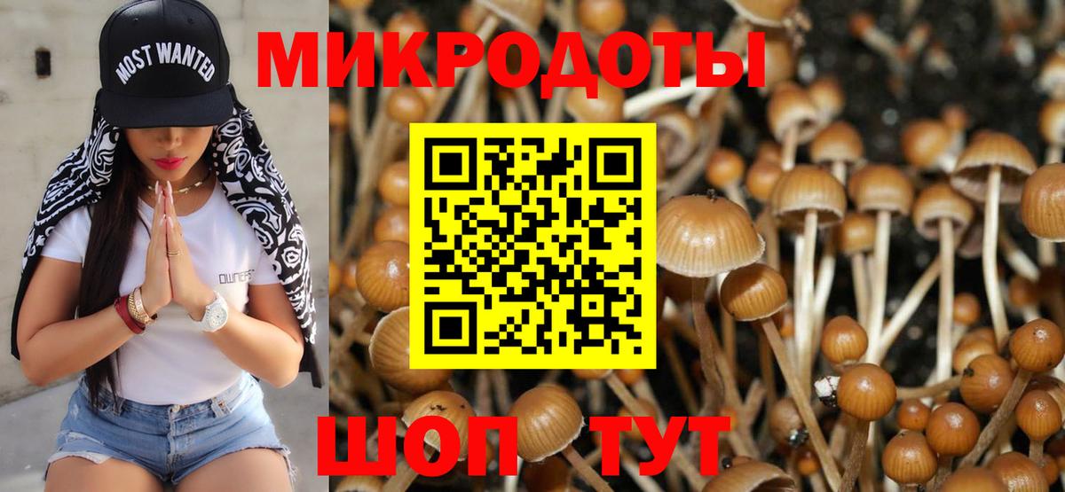 Псилоцибиновые грибы мицелий Строитель
