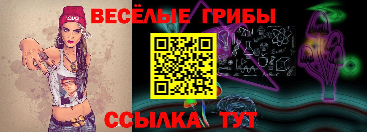 Строитель  Галлюциногенные грибы прущие грибы  Вход с VPN 